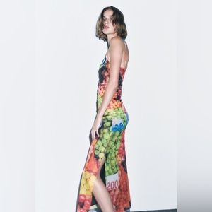 NWT Zara Mesh Fruit Stand Maxi Dress